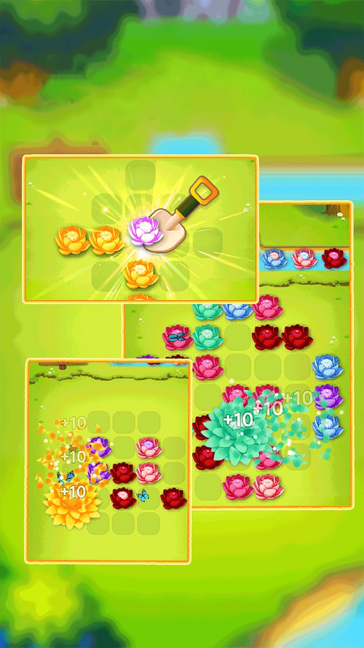 flower-explosion-z
